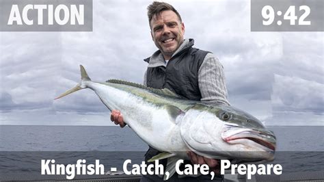 Kingfish How To Catch Care Prepare YouTube