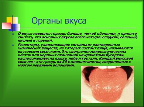 Презентация "Анатомия. органы чувств" (8 класс) по биологии – скачать ...