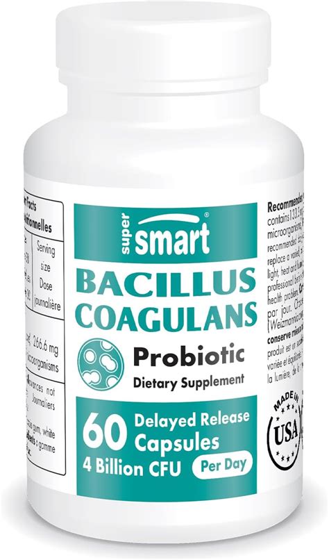 Amazon Supersmart Bacillus Coagulans Probiotic Billion Cfu Per