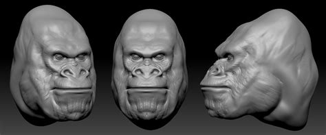 The 30 Minute Monke Rzbrush