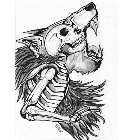 Wolf Skeleton Drawing at GetDrawings | Free download