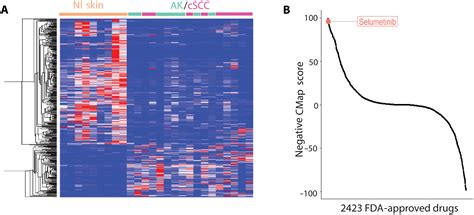 Development Of A Mek Inhibitor Nfx 179 As A Chemoprevention Agent For Squamous Cell Carcinoma