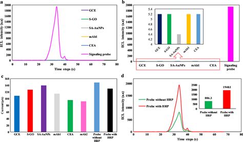 Characterization Of Preparation Steps A Ecl Characterization Of The