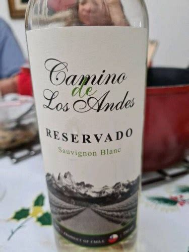 Camino De Los Andes Reservado Sauvignon Blanc Vivino US