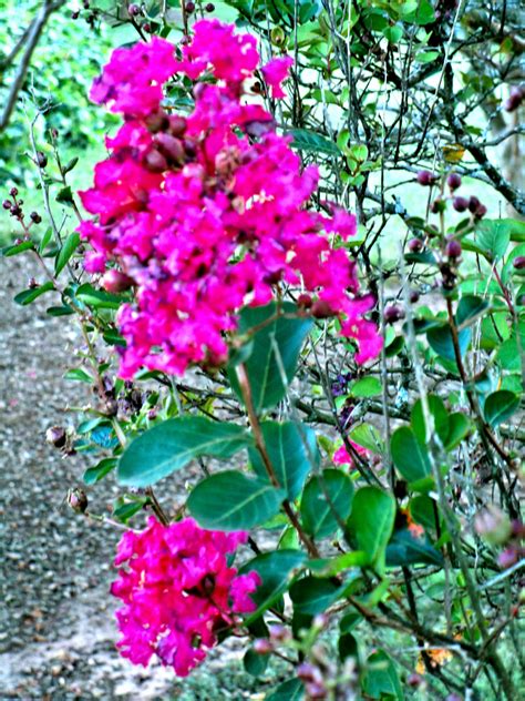 This franklin d roosevelt state park ny is surprisingly large for families 16