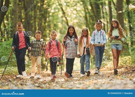 Walking Together Kids In Green Forest At Summer Daytime Stock Photo