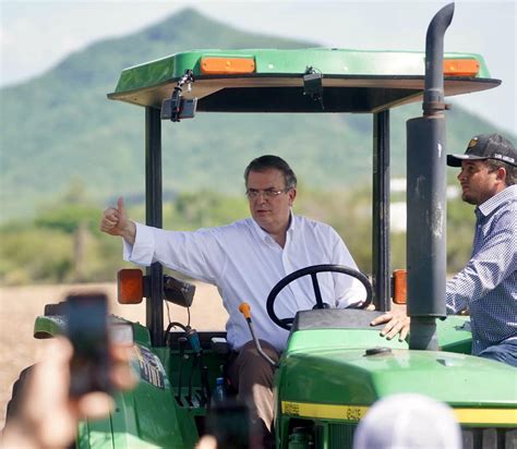 Ebrard Preocupado Por Desorden En El Levantamiento De Encuesta De