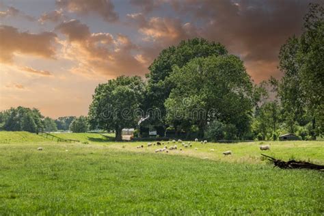 Sunset Over Dutch Ascended Green Polder Landscape Between Ter Aar And