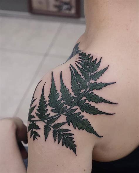 Fern Leaf Tattoo On The Shoulder