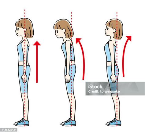 ilustrasi  berdiri  benar ilustrasi stok  gambar