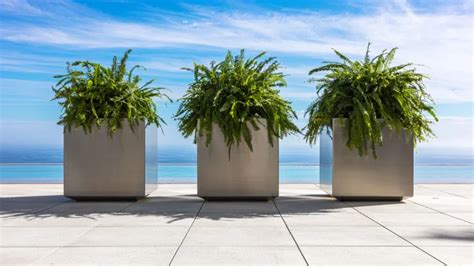 Os Sensacionais Vasos Para Jardim Arabia Fesfoc