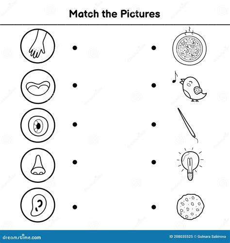 Lbumes Foto Dibujos De Los Sentidos Para Ni Os Cena Hermosa