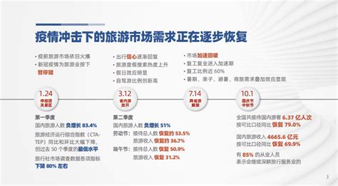 中国旅游研究院：2020年中国旅行服务业发展报告pdf 先导研报