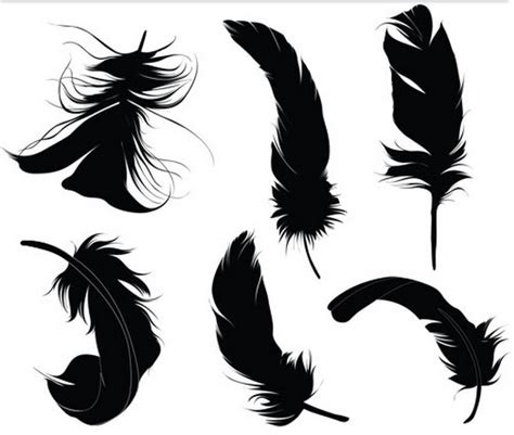 Black Feather Vector At Vectorified Collection Of Black Feather