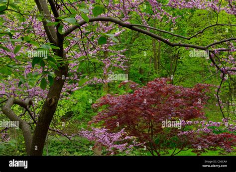 Humber Arboretum Hi Res Stock Photography And Images Alamy