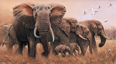 elephant art - Aztec Media Yahoo Search Results | Wildlife paintings ...