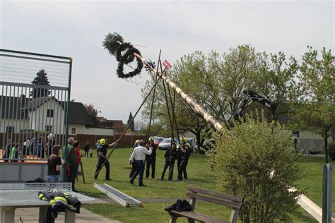 Maibaumaufstellen Freiwillige Feuerwehr Leitring