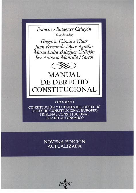 PDF Manual De Derecho Constitucional Vol I Pdf DOKUMEN TIPS