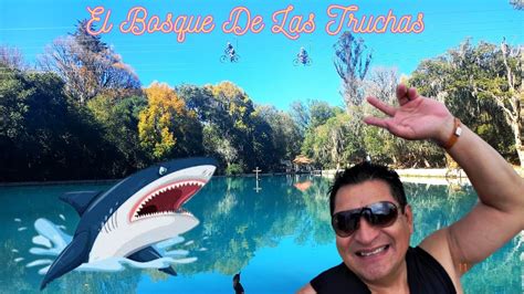 El Bosque De Las Truchas Huasca De Ocampo YouTube