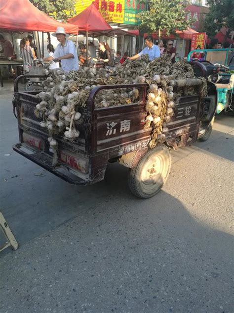 農村大哥集市上賣洋蔥：小技巧帶來大效益，一整車不到1小時賣光 每日頭條