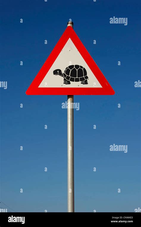 Turtle Warning Sign Hi Res Stock Photography And Images Alamy