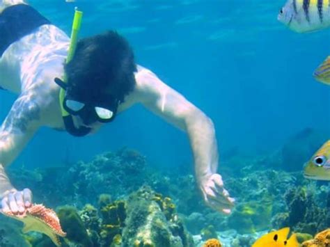 Consejos Para Hacer Snorkel Sin Saber Nadar Disfruta Del Mar