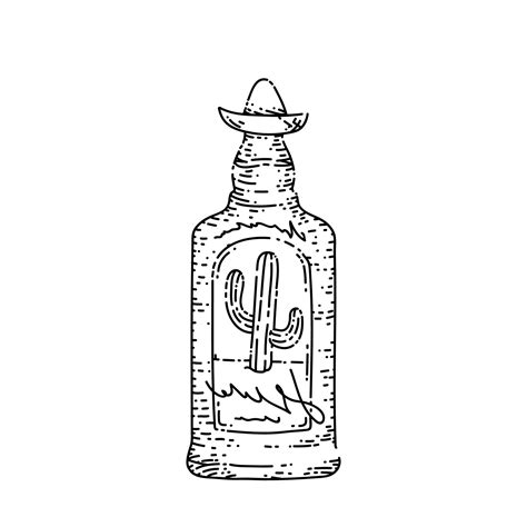 tequila bottle sketch hand drawn vector 17418366 Vector Art at Vecteezy