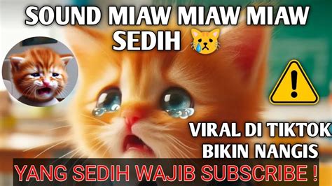 Miaw Miaw Miaw Miaw Sound Sad Viral Tiktok Youtube