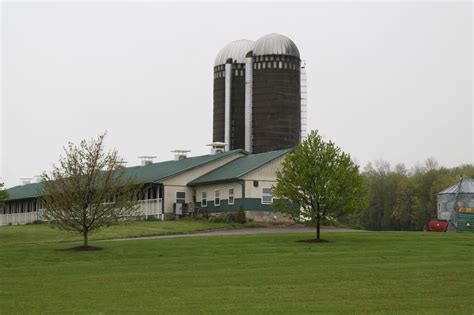 Shtayburne Farm Finger Lakes Dairy Farm