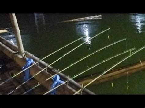 Mancing Sehabis Hujan Deras Biasanya Ikan Suka Bagus Youtube