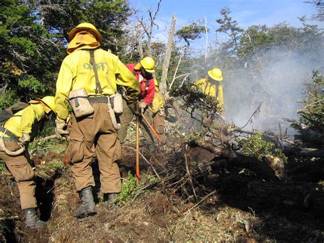 Las quemas agrícolas están prohibidas y toda quema es ilegal según