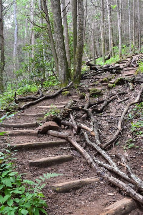 Bear Hair Gap Trail Imagine Camper