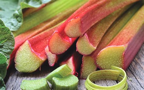 Growing Rhubarb On A Shady Plot Thompson Morgan Blog