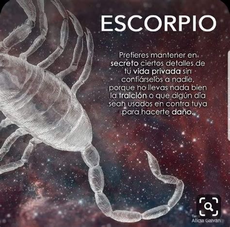 Pin De Silvia Gabriela Barraco En Astrolog A Escorpio Escorpion