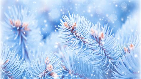 Christmas Winter Blue Wallpapers - Wallpaper Cave