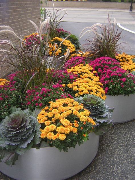 868 best FLOWERS - GARDENS / CONTAINERS - PERENNIALS / ANNUALS images ...