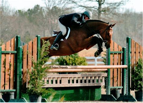 FOXCROFT FARM EQUESTRIAN CENTER Updated January 2025 12850 New