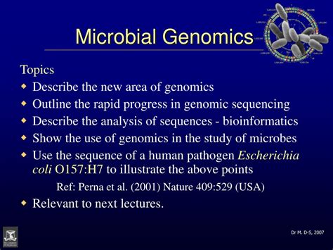 Ppt Microbial Genomics Powerpoint Presentation Free Download Id