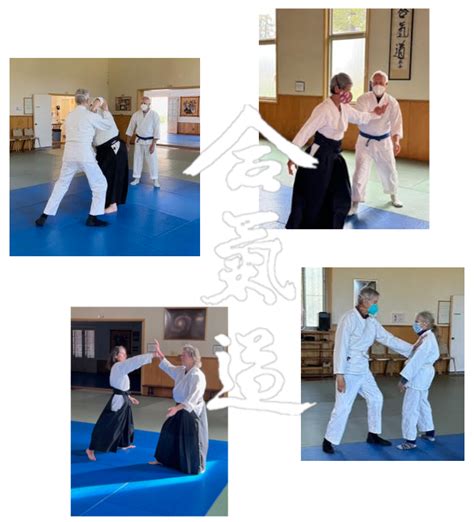 Principles and Practice of Aikido — Aikido of Santa Cruz