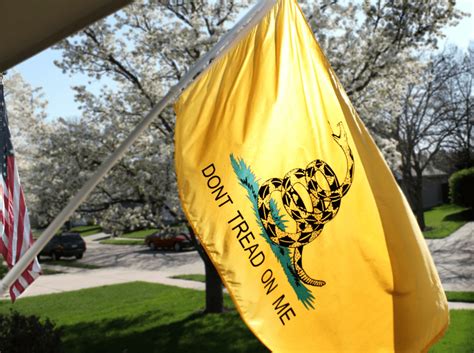 The Don’t Tread On Me Meaning, Flag and Phrase Explained - Animal Corner