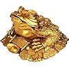 Amazon Mulhue Brass Feng Shui Money Frog Three Legged Wealth Frog