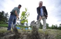 Are You Ready For World Naked Gardening Day Hello Homestead