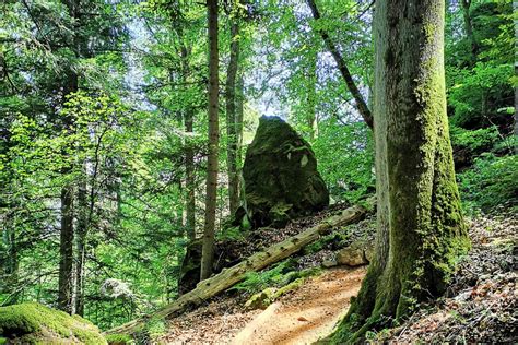 Rundwanderung Im Gesundland Vulkaneifel Auf Dem Wasser Und Felsenweg