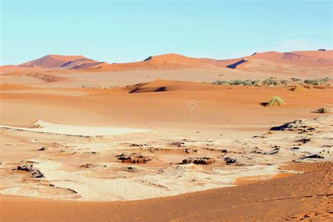 Sunrise in Sossusvlei stock photo. Image of dead, dune - 237282796