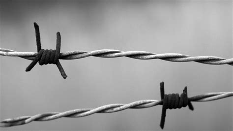 Barbed Wire Wallpapers Top Free Barbed Wire Backgrounds Wallpaperaccess