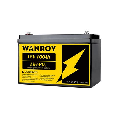 Wanroy Batteria LifePO4 12V 100Ah Con 100A BMS IO Solar