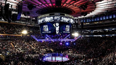 What Are The Best Seats At The UFC Complete Guide