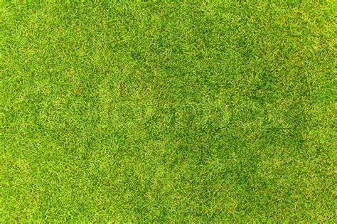 Top View Of Natural Green Grass Texture Aerial View Of Park Stock