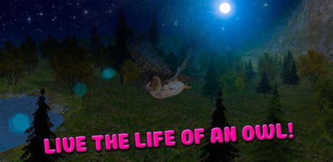 Owl Bird Survival Simulator D For Pc How To Install On Windows Pc Mac