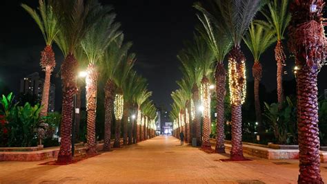 Night City Walk Rishon Lezion Israel Walking Tour Youtube